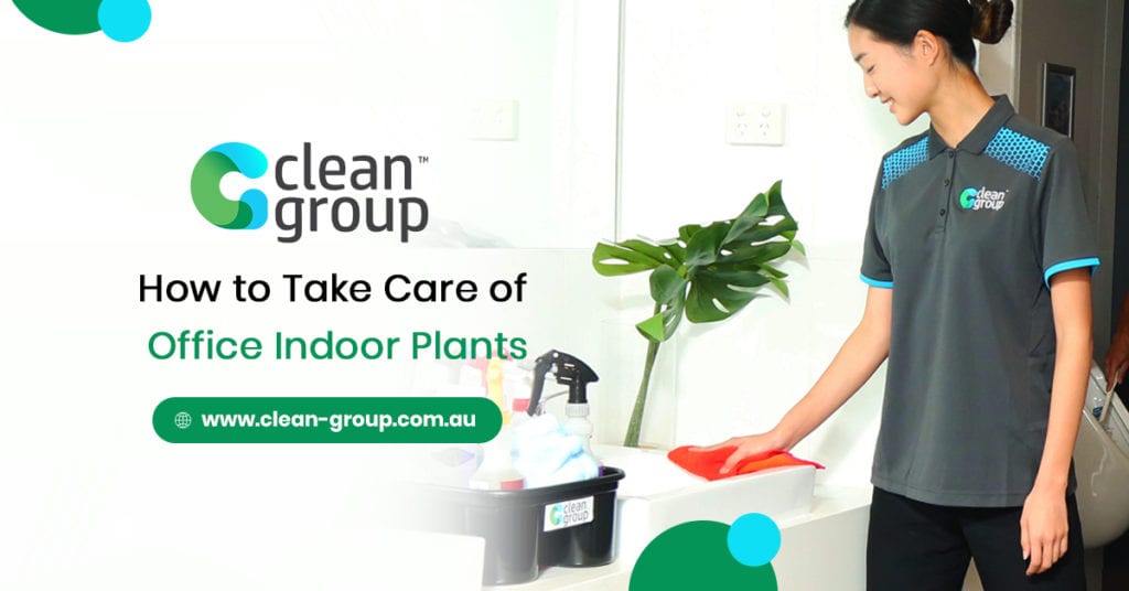 How to Take Care of Workplace Indoor Plants